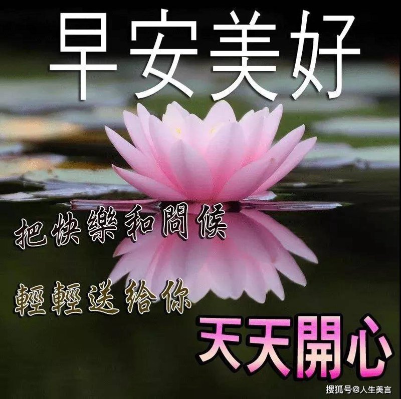 快乐旋律：天天开心歌曲精选