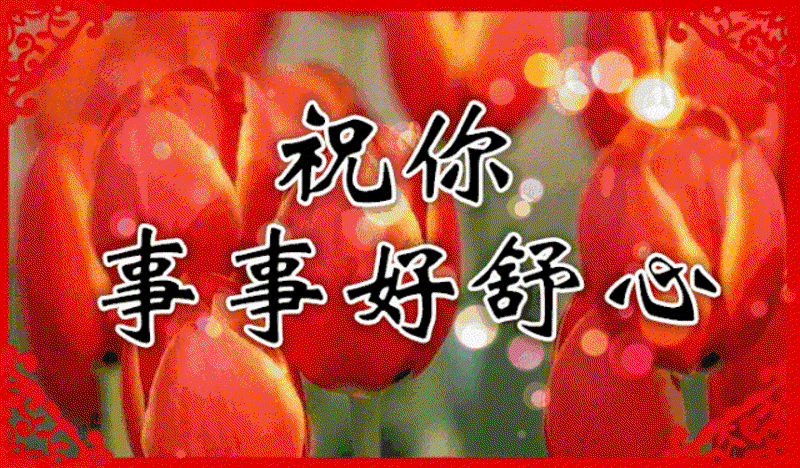 天天开心歌曲选购指南